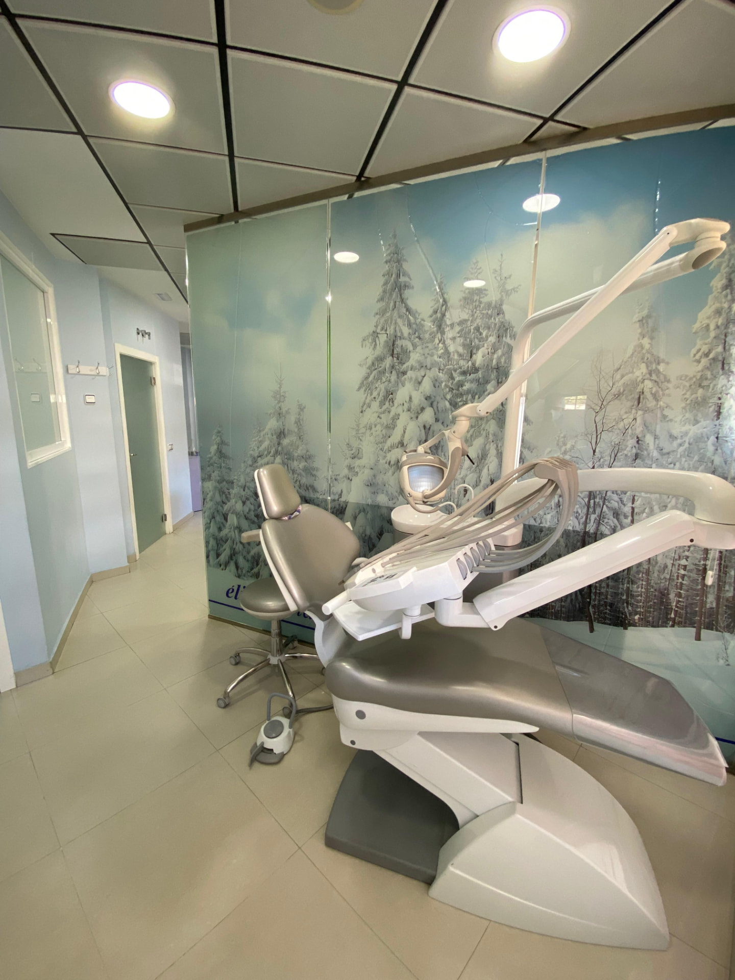 Gabinete dental con mural de bosque nevado